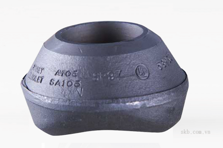 Butt Weld Outlet