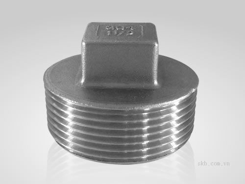 SS304 threaded square head plug